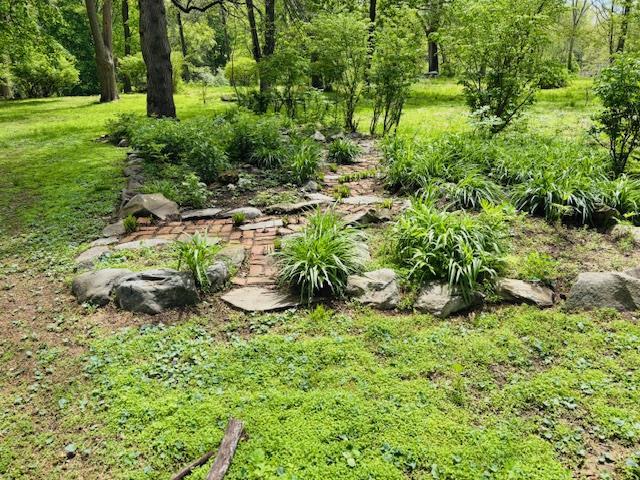 1358 Rte 44, Pleasant Valley, NY 12569 - view of yard