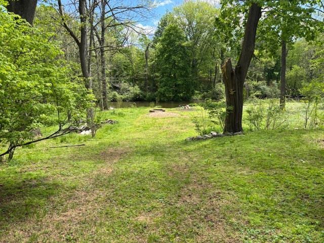 1358 Rte 44, Pleasant Valley, NY 12569 - view of yard