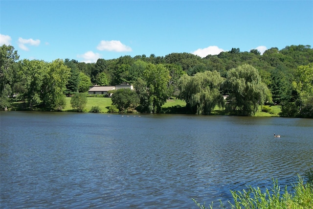 41 Heritage Hills Dr Unit A, Somers, NY 10589 - water view with a forest