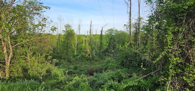 Old Mountain Rd, Otisville, NY 10963 - photo 2