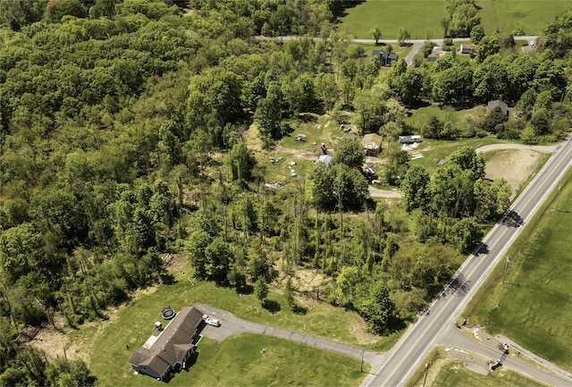 Old Mountain Rd, Otisville, NY 10963 - photo 5
