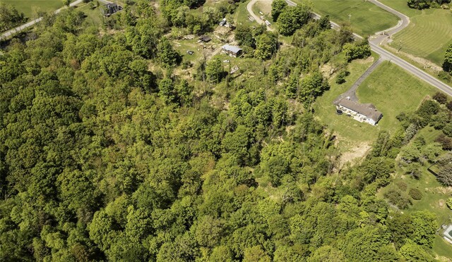 Old Mountain Rd, Otisville, NY 10963 - photo 8