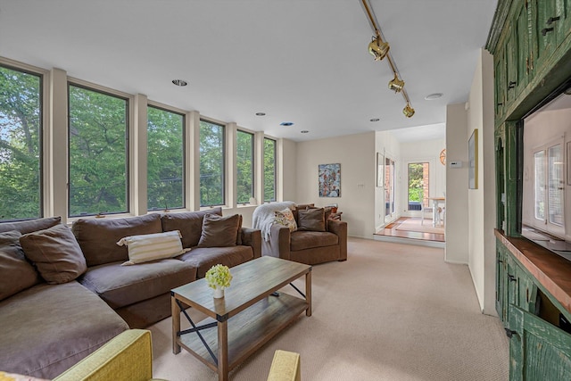 1 Wensley Dr, Great Neck, NY 11021 - living area with light colored carpet and track lighting
