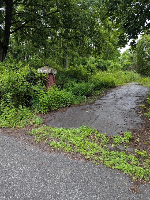 Cauterskill, Catskill, NY 12414