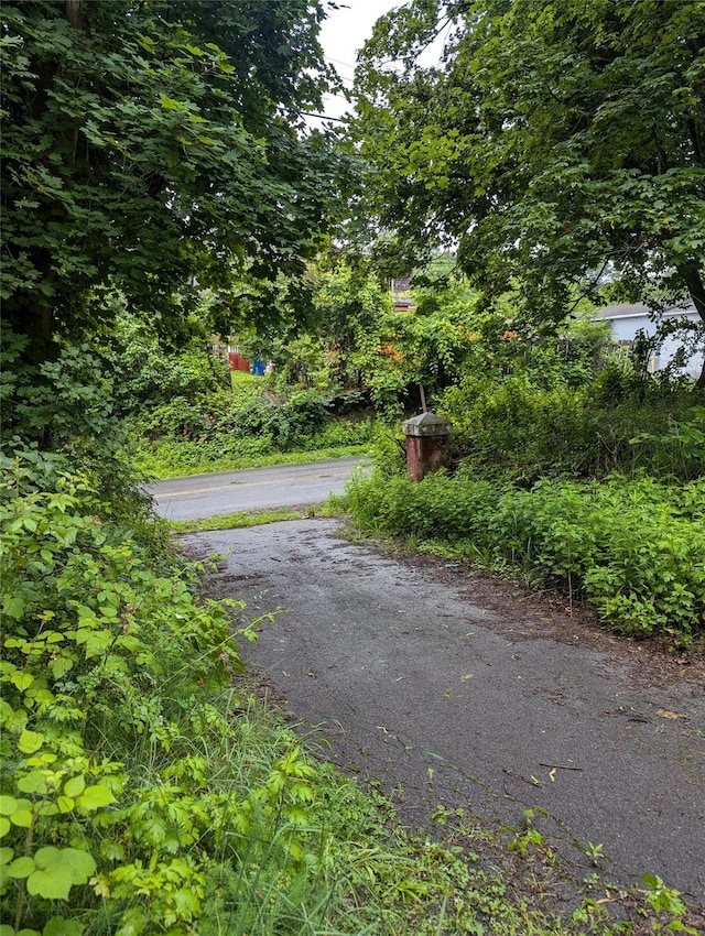Cauterskill, Catskill, NY 12414