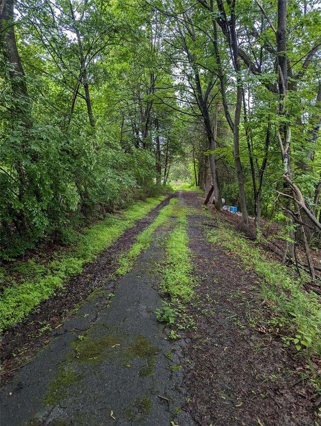 Cauterskill, Catskill, NY 12414