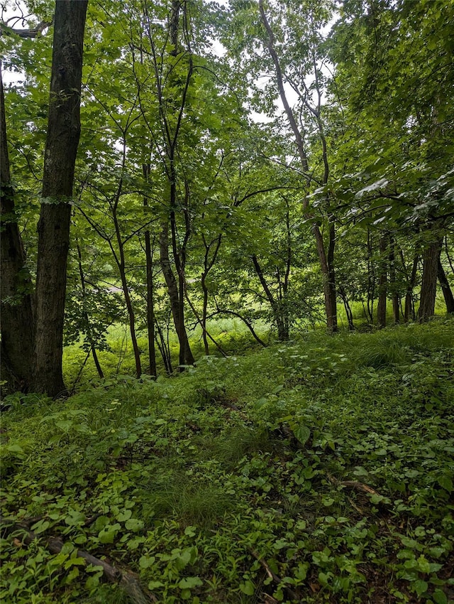 Cauterskill, Catskill, NY 12414