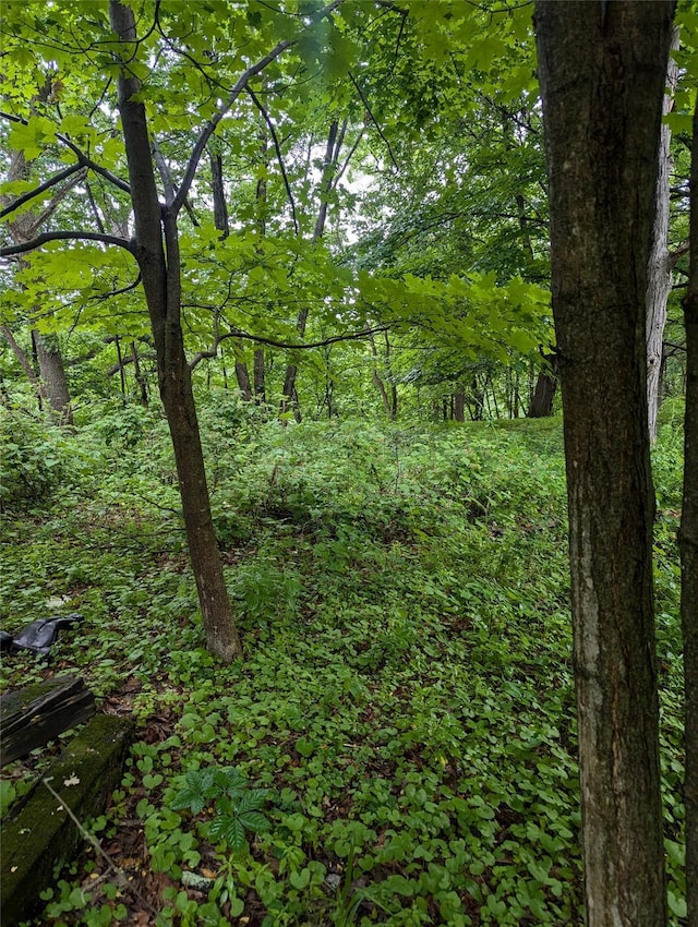 Cauterskill, Catskill, NY 12414