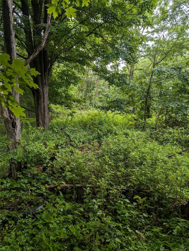 Cauterskill, Catskill, NY 12414