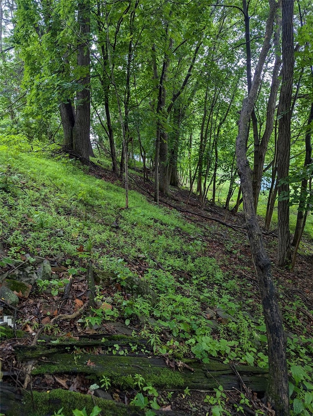 Cauterskill, Catskill, NY 12414