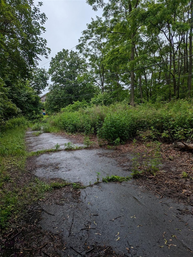 Cauterskill, Catskill, NY 12414