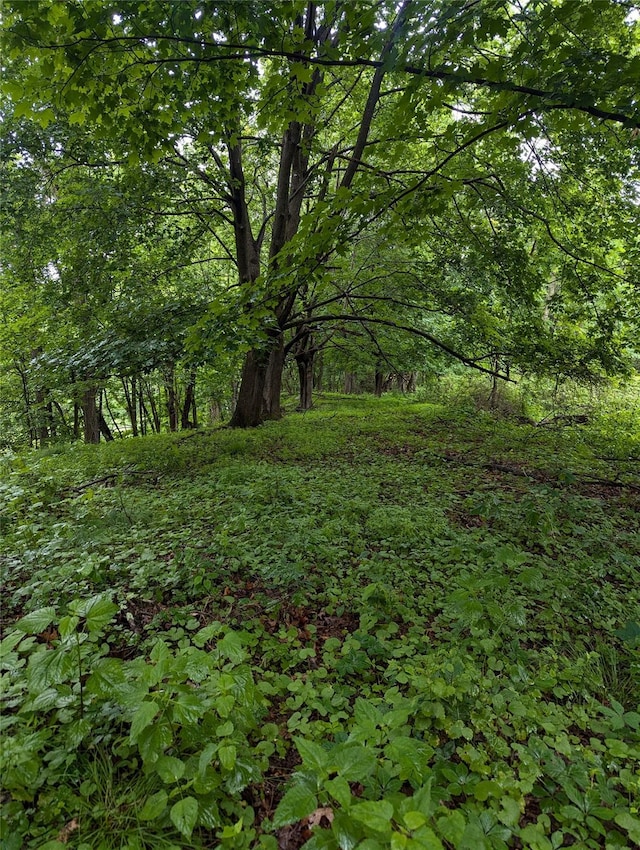 Cauterskill, Catskill, NY 12414