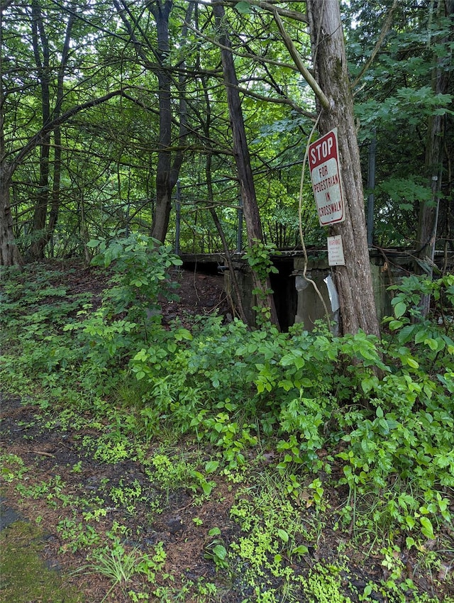 Cauterskill, Catskill, NY 12414