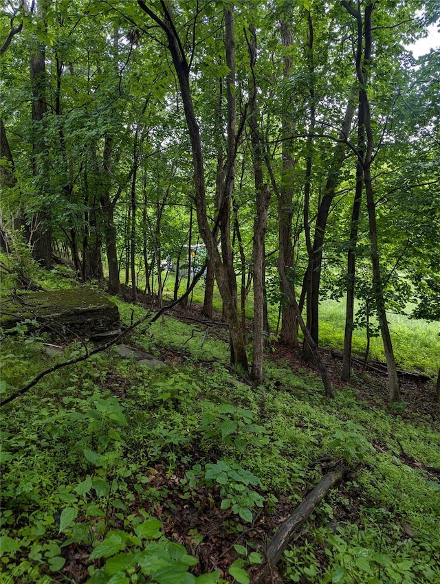 Cauterskill, Catskill, NY 12414