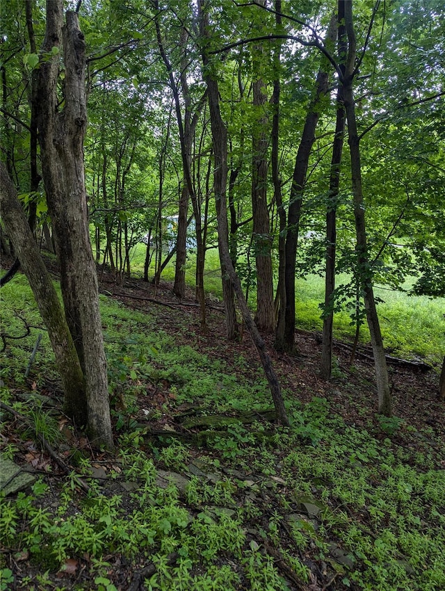 Cauterskill, Catskill, NY 12414