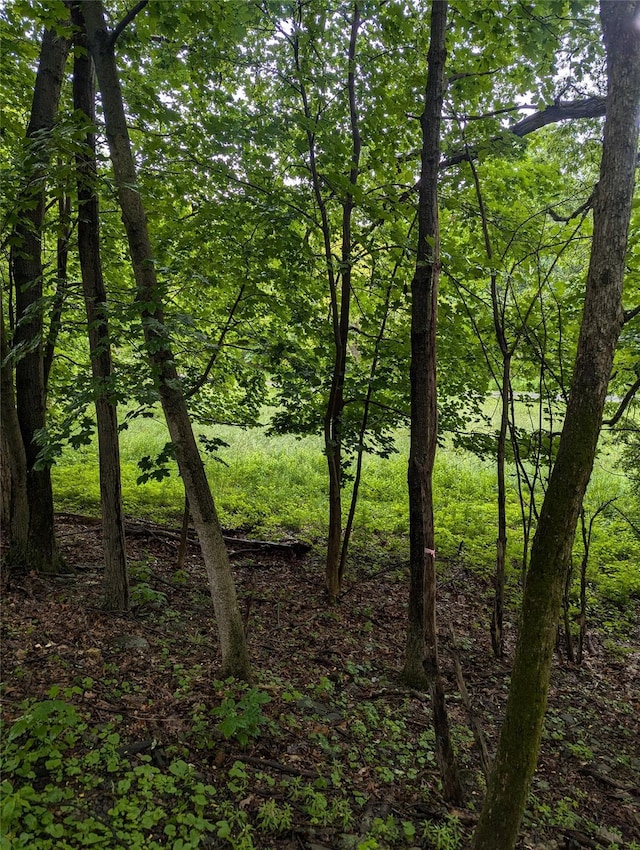 Cauterskill, Catskill, NY 12414