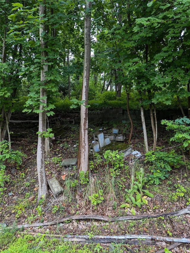 Cauterskill, Catskill, NY 12414