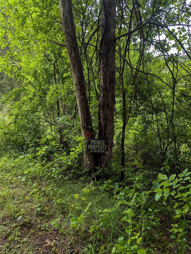 Cauterskill, Catskill, NY 12414