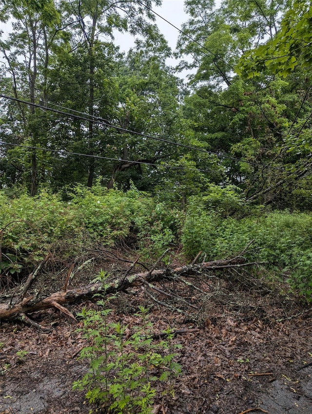 Cauterskill, Catskill, NY 12414