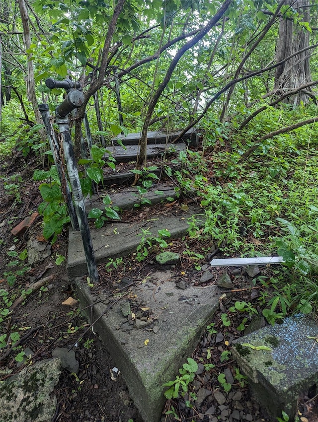 Cauterskill, Catskill, NY 12414