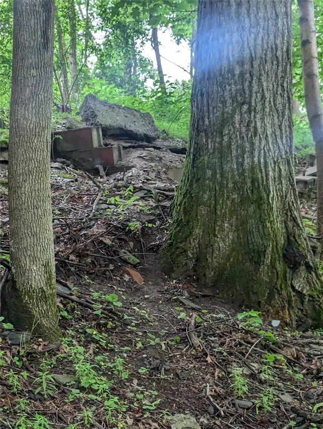 Cauterskill, Catskill, NY 12414