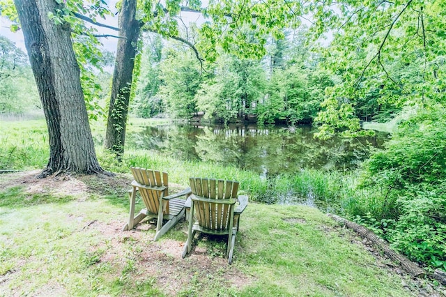 24 Overhill Ln, Warwick, NY 10990 - view of yard with a water view