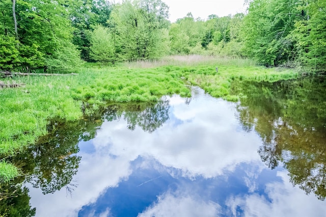 24 Overhill Ln, Warwick, NY 10990 - water view featuring a forest