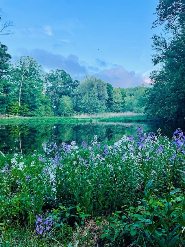 24 Overhill Ln, Warwick, NY 10990 - view of mountain backdrop featuring a nearby body of water and a heavily wooded area