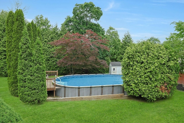 swimming pool with a yard, an outbuilding, and a storage unit