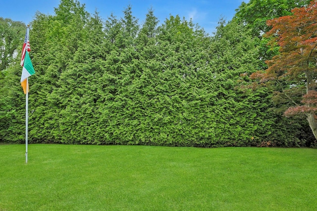 view of green lawn