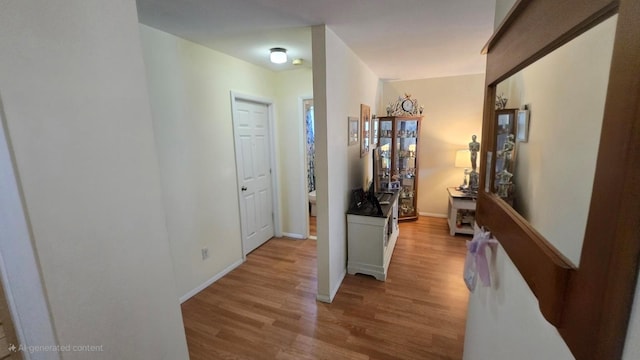 1115 Cherry Hill Dr, Poughkeepsie, NY 12603 - hall with light wood-style floors and baseboards