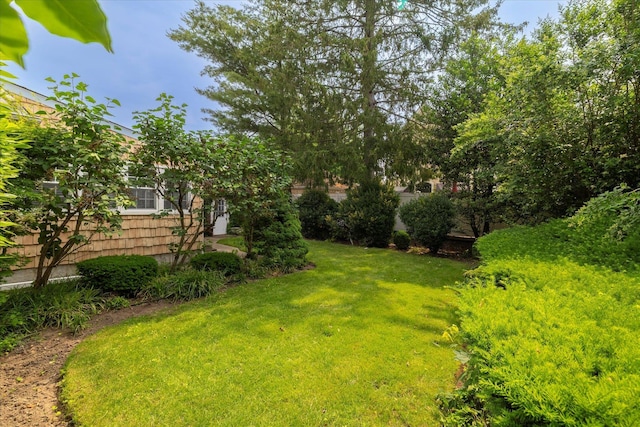 265 Brower Ave, Rockville Centre, NY 11570 - view of green lawn