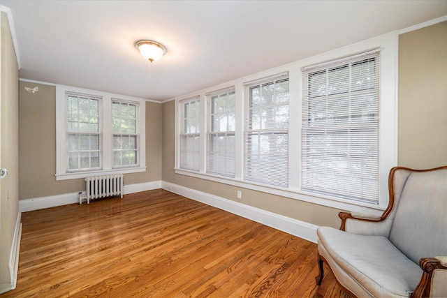265 Brower Ave, Rockville Centre, NY 11570 - unfurnished sunroom with radiator heating unit