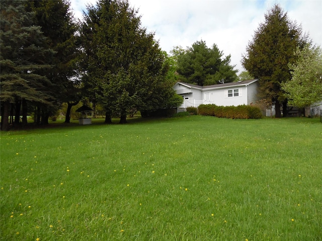 8 Crumley Van Vactor Rd, Ferndale, NY 12734 - view of green lawn