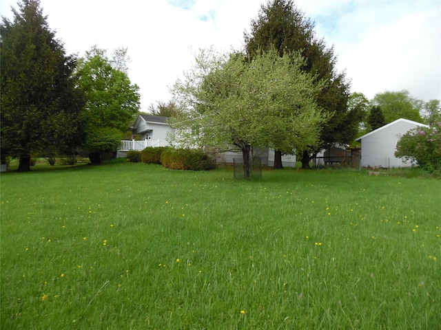 8 Crumley Van Vactor Rd, Ferndale, NY 12734 - view of green lawn