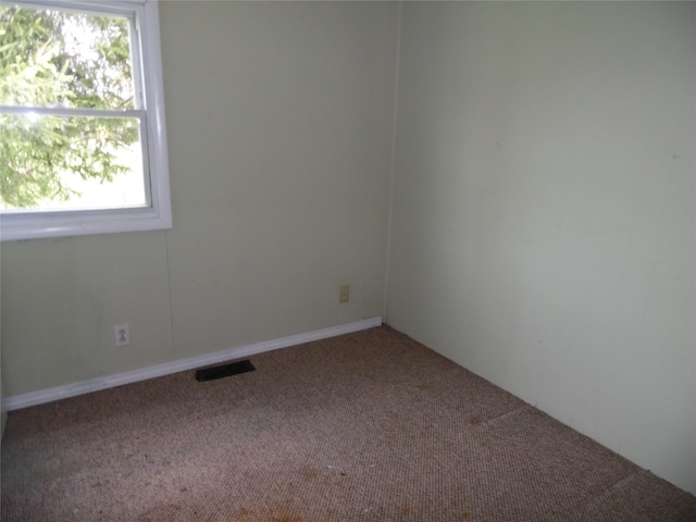 8 Crumley Van Vactor Rd, Ferndale, NY 12734 - view of carpeted spare room
