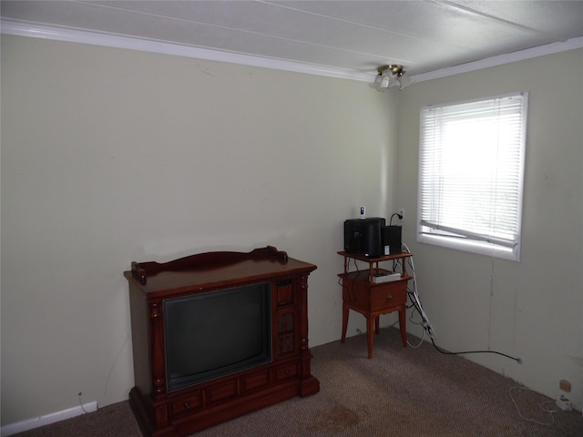 8 Crumley Van Vactor Rd, Ferndale, NY 12734 - interior space featuring ornamental molding