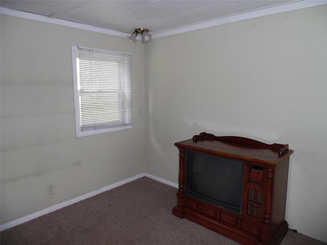 8 Crumley Van Vactor Rd, Ferndale, NY 12734 - spare room featuring carpet floors, crown molding, and baseboards