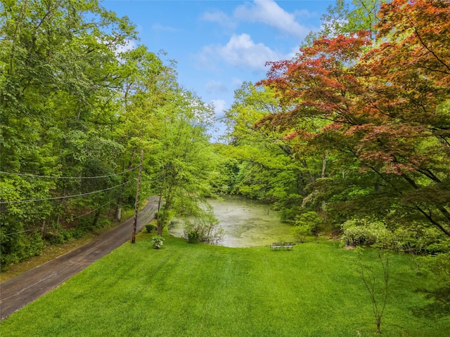 125 Hawkes Ave, Ossining, NY 10562 - water view featuring a heavily wooded area