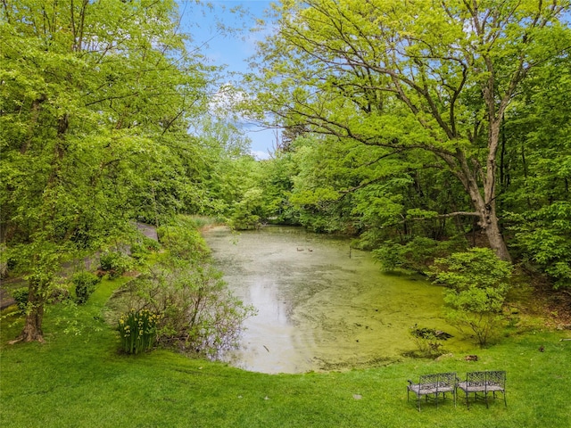 125 Hawkes Ave, Ossining, NY 10562 - water view featuring a heavily wooded area