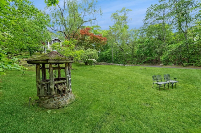 125 Hawkes Ave, Ossining, NY 10562 - view of grassy yard