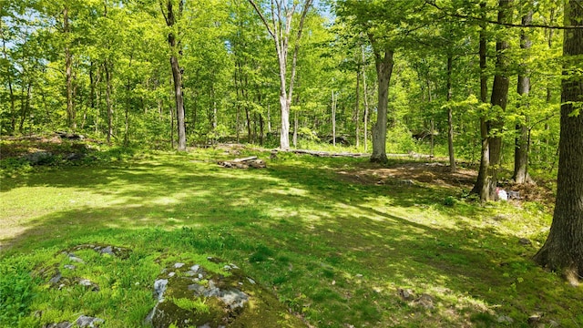 50 Maple Wood Dr, Brewster, NY 10509 - view of green lawn with a forest view