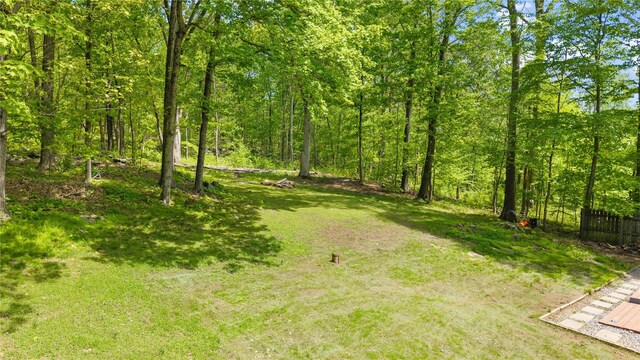 50 Maple Wood Dr, Brewster, NY 10509 - view of yard featuring fence