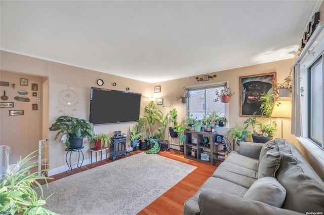 living room with wood finished floors