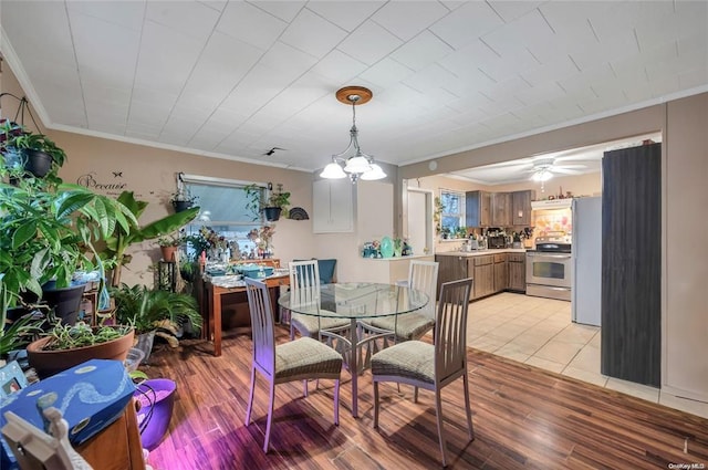 dining room featuring crown molding and light wood-style flooring