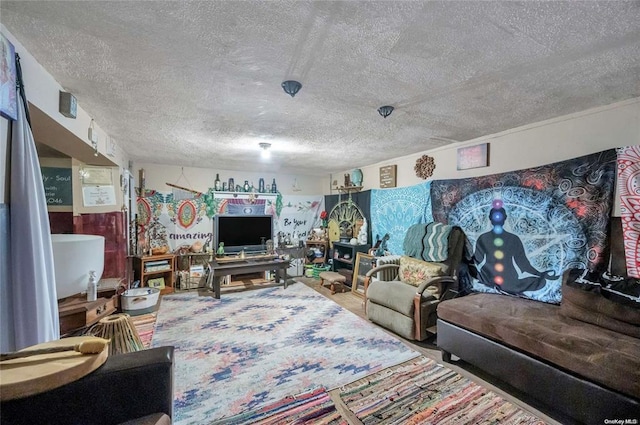 living room featuring a textured ceiling