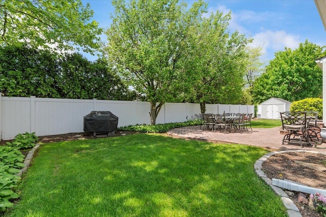 view of yard with a storage shed, a patio area, and an outbuilding