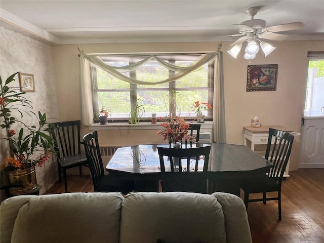 86-10 151st Ave Unit 4G, Howard Beach, NY 11414 - dining room featuring wood finished floors, ornamental molding, and a ceiling fan