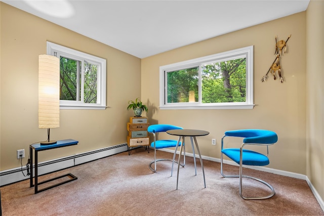 5 Bellwood Ln, Cornwall On Hudson, NY 12520 - sitting room with carpet floors, baseboards, and baseboard heating
