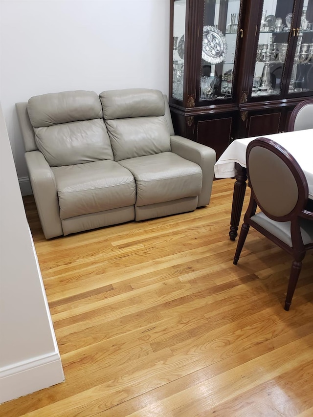 living area featuring wood finished floors